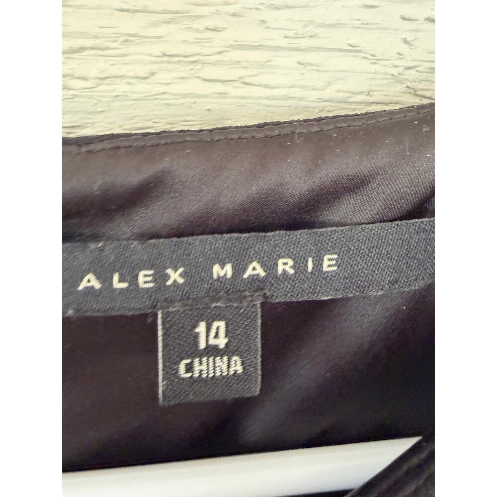 Alex Marie Black Pleated Chiffon Cape Dress Sheer Overlay Elegant Formal Size 14 - Picture 3 of 5